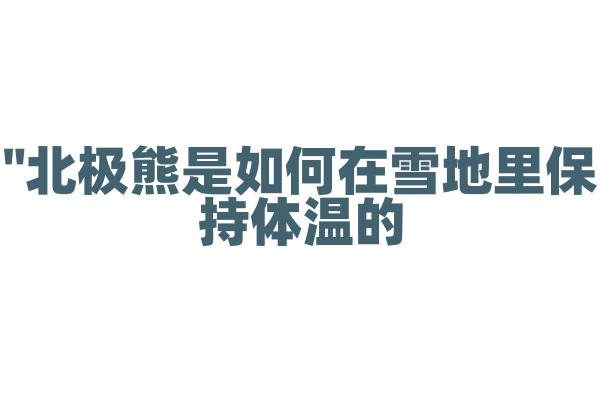 "北极熊是如何在雪地里保持体温的？"